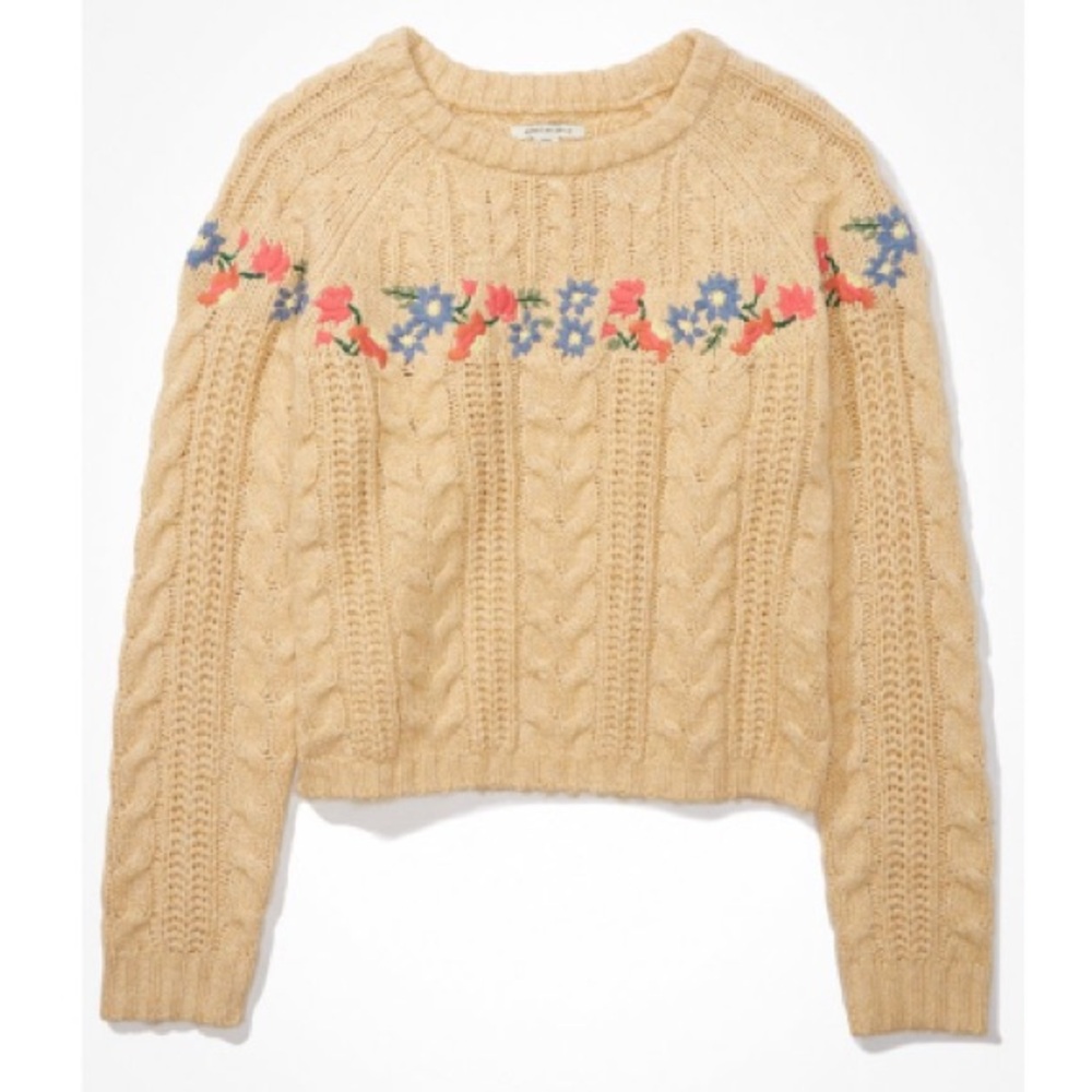American Eagle Outfitters Embroidered Beige Sweater